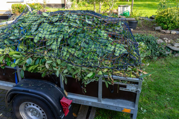 Best Estate Cleanout  in Olivet, TN